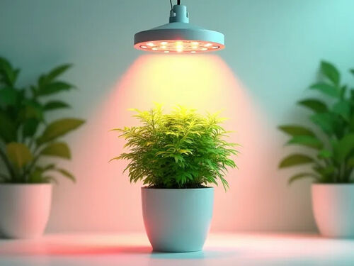 dernier blog d'entreprise sur Omega Infinity lance une lampe de croissance LED haute performance de 300W