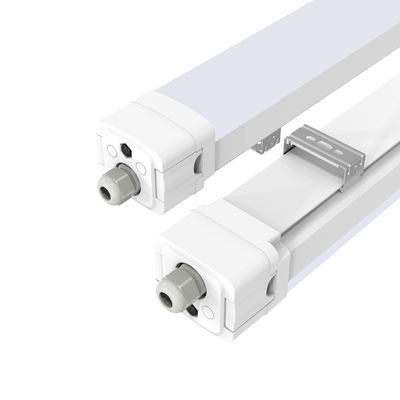 High Standard LED Triproof Light AC100V-240V 5 Years Warranty